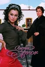 Póster de Barrera de amor
