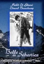 Póster de Belle et Sébastien