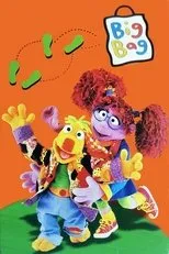 Póster de Big Bag