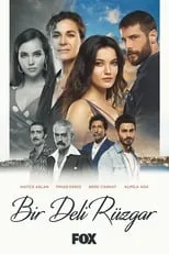 Póster de Bir Deli Rüzgar
