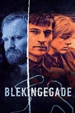 Póster de Blekingegade