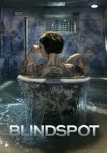 Póster de Blindspot