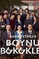 Póster de Boynu Bükükler
