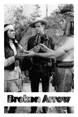 Póster de Broken Arrow
