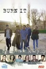 Póster de Burn It