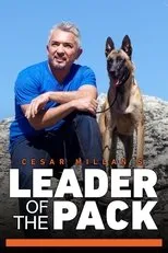 Póster de Cesar Millan's Leader of the Pack