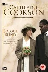 Póster de Colour Blind