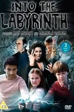 Póster de Dentro del laberinto
