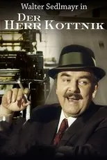 Póster de Der Herr Kottnik