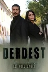 Póster de Derdest