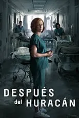 Póster de Después del huracán