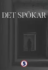 Póster de Det Spökar