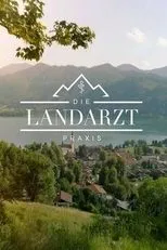 Póster de Die Landarztpraxis
