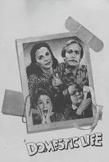 Póster de Domestic Life