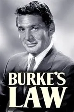 Póster de El agente Burke