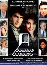Póster de El camino secreto