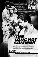 Póster de El largo y cálido verano