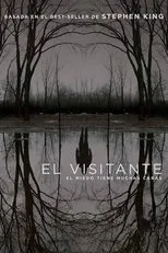 Póster de El visitante