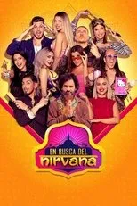 Póster de En busca del Nirvana