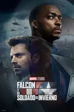 Póster de Falcon y el Soldado de Invierno