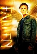 Póster de Fallen