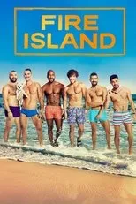 Póster de Fire Island