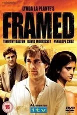 Póster de Framed
