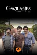 Póster de Gavilanes
