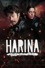 Póster de Harina
