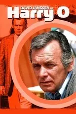 Póster de Harry O
