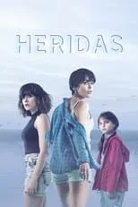 Póster de Heridas