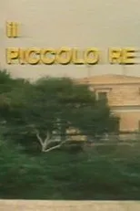 Póster de Il piccolo re