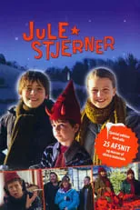 Póster de Julestjerner