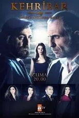 Póster de Kehribar