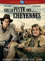 Póster de La búsqueda