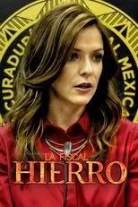 Póster de La fiscal de hierro