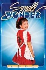 Póster de La pequeña maravilla