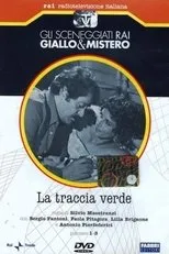 Póster de La traccia verde