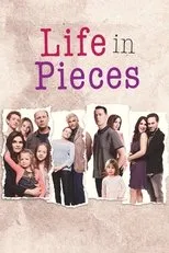 Póster de La vida en piezas