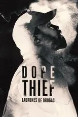 Póster de Ladrones de drogas