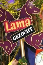 Póster de Lama Gezocht