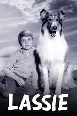 Póster de Lassie