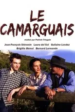 Póster de Le camarguais