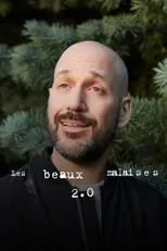 Póster de Les beaux malaises 2.0