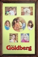 Póster de Los Goldberg
