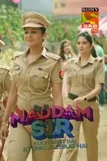 Póster de Maddam Sir