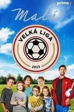 Póster de Malá velká liga