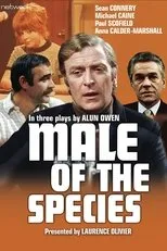 Póster de Male of the Species