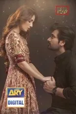 Póster de Meray Paas Tum Ho