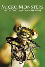 Póster de Micro Monsters with David Attenborough